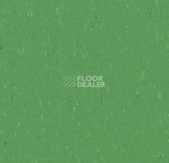 Линолеум Forbo Marmoleum Solid Piano 3647-364735 nettle green фото 1 | FLOORDEALER